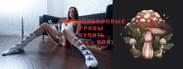 ГАЛЛЮЦИНОГЕННЫЕ ГРИБЫ Абинск