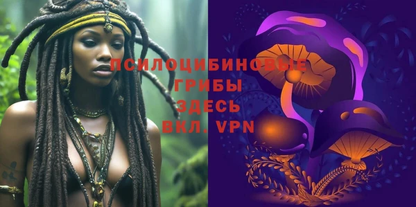 ГАЛЛЮЦИНОГЕННЫЕ ГРИБЫ Абинск