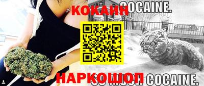прущие крисы Ачхой-Мартан