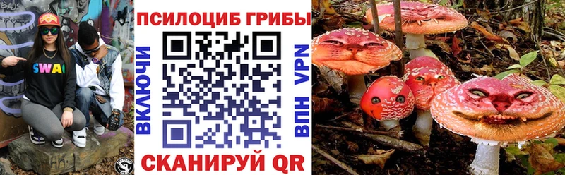 Псилоцибиновые грибы GOLDEN TEACHER Алейск