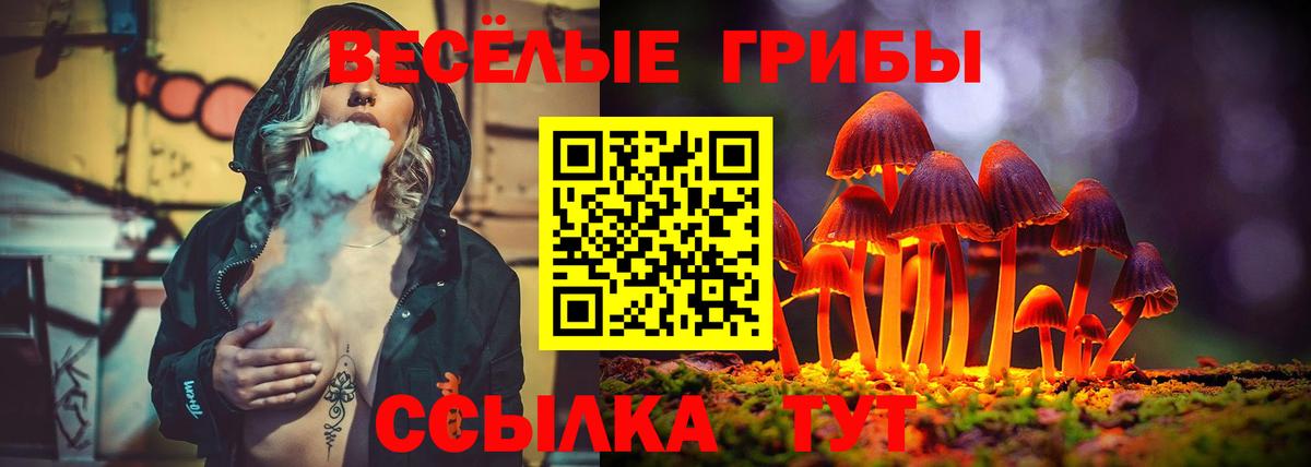 Галлюциногенные грибы Psilocybine cubensis Алейск